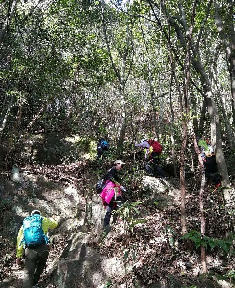 雁荡山仙人桥穿越