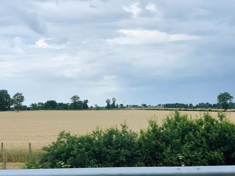 Paisaje del sur de Francia ~ Saint Laurent de Albre