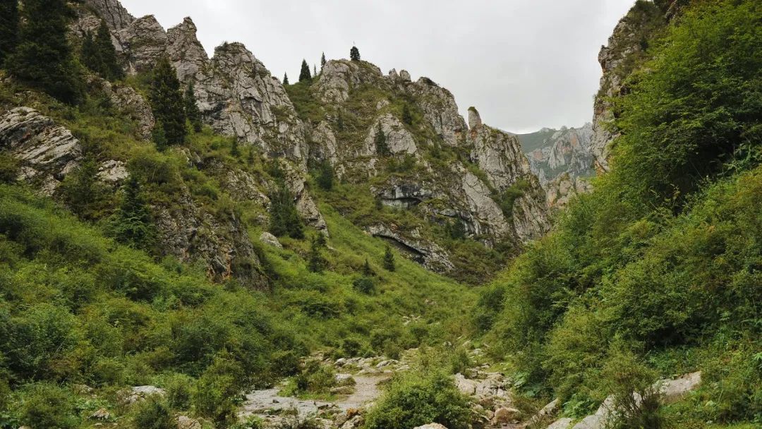 Un récord de recogida de basura en Langmusi Canyon