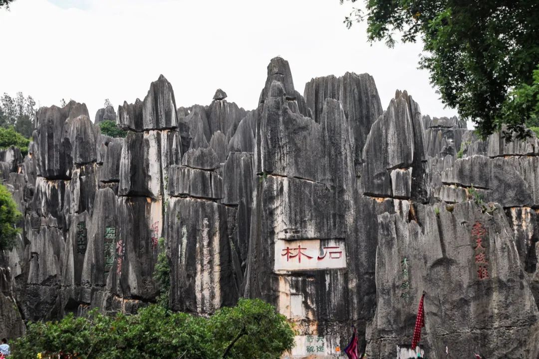 Travel Notes | Yunnan Family Travel Day 2: Kunming - Stone Forest - Mengzi