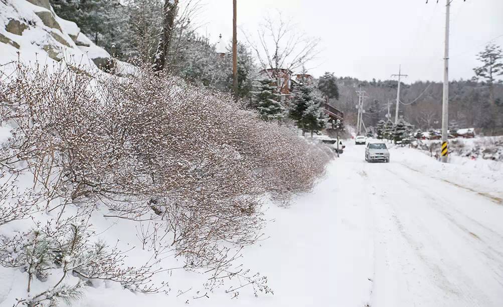 [Notas de viaje de Yue] El mundo de hielo y nieve entre -1 y 40 grados Celsius