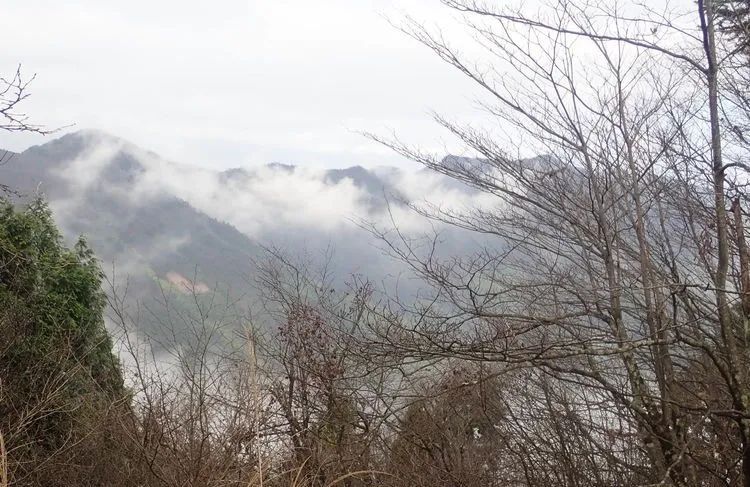 About White Horse Mountain in Winter