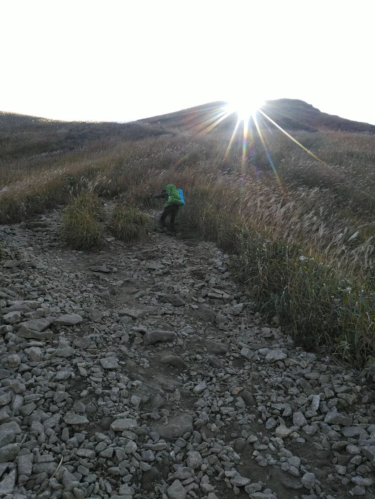 Favorite that yellow, late autumn hiking trip to Wugong Mountain