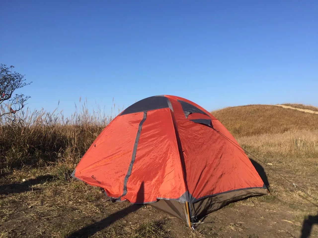 最爱那抹黄，深秋的武功山徒步之旅