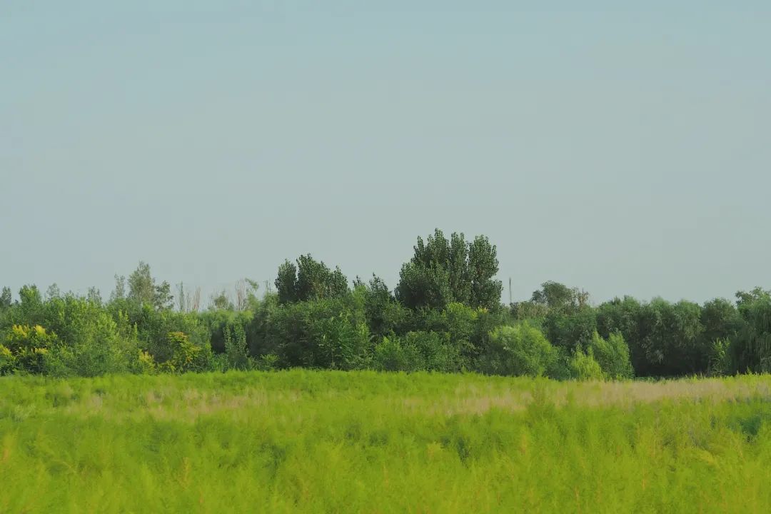 Notas de viaje | Tarde en el parque abandonado en el sur de Beijing