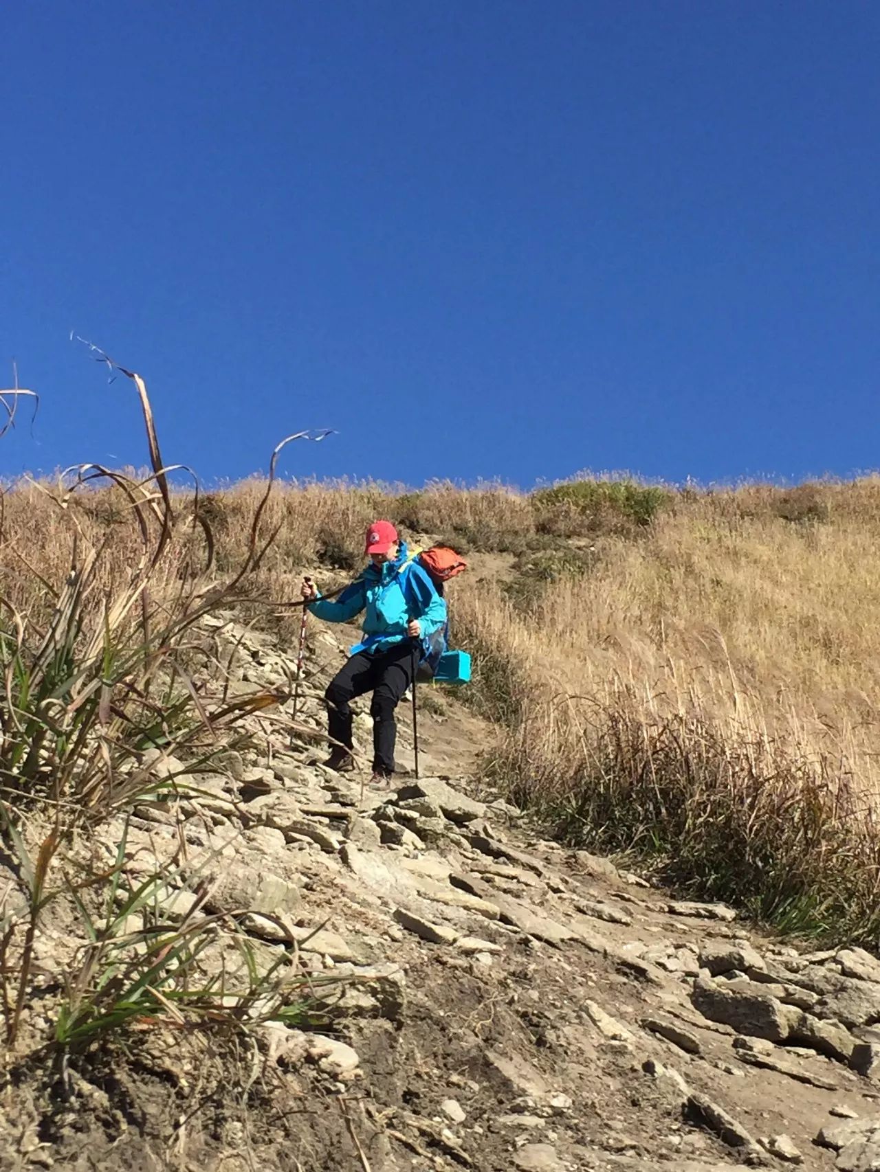 最爱那抹黄，深秋的武功山徒步之旅