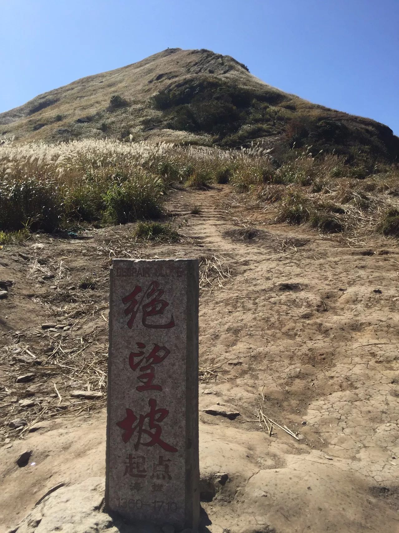 Favorito ese viaje de senderismo amarillo de finales de otoño a la montaña Wugong