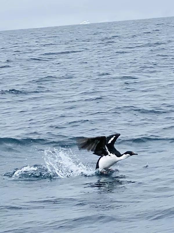 Flying Over Drake ~ Antarctic Adventure Day 2