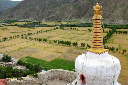 "티베트 향, 기, 라마 사원" DAY3 티베트의 기원을 탐험하기 위해 산난으로 이동