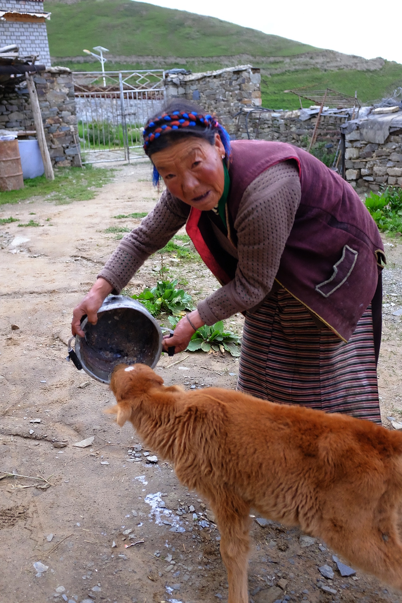 "티베트 향, 기, 라마 사원" DAY5 얌드록 얌코로 돌아가기