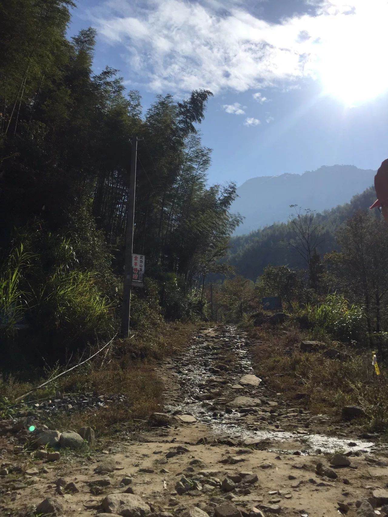 Favorito ese viaje de senderismo amarillo de finales de otoño a la montaña Wugong