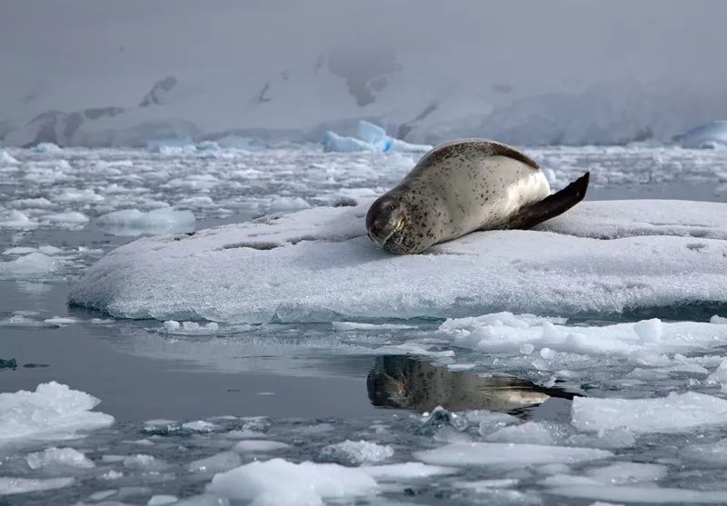 Flying Over Drake ~ Antarctic Adventure Day 3