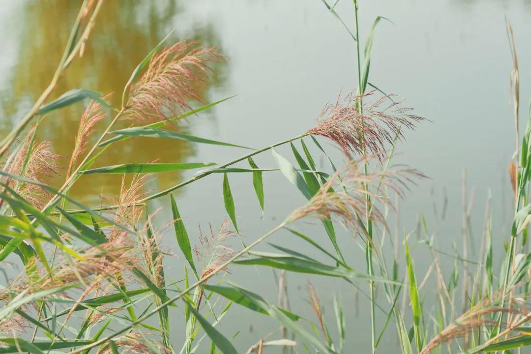 Travel Notes | Afternoon in the Abandoned Park in South Beijing