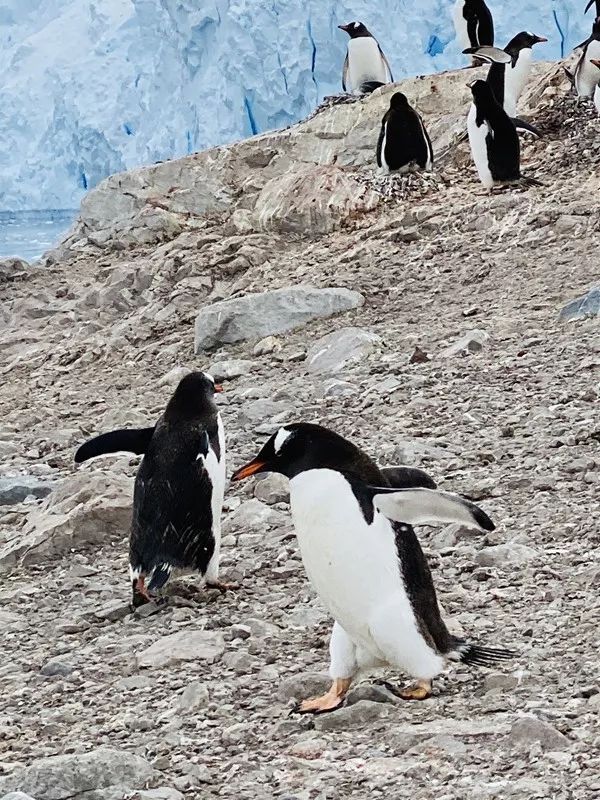 Flying Over Drake ~ Antarctic Adventure Day 1