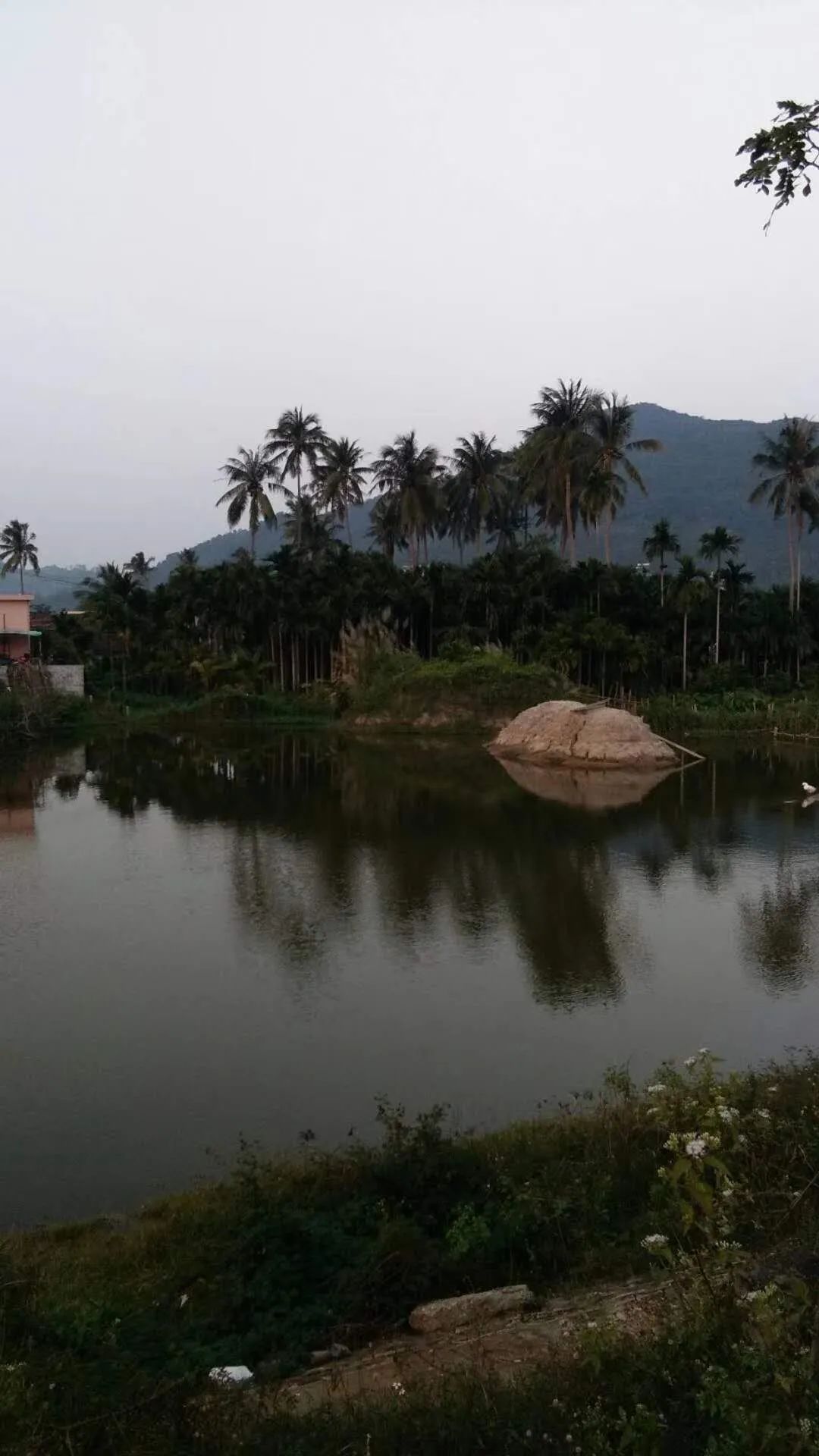 El viento de coco y la rima marina de los campesinos pobres y de clase media-baja---D9: pueblo de Boao, ciudad de Qionghai - pueblo de Houcheng, pueblo de Liji, ciudad de Wanning