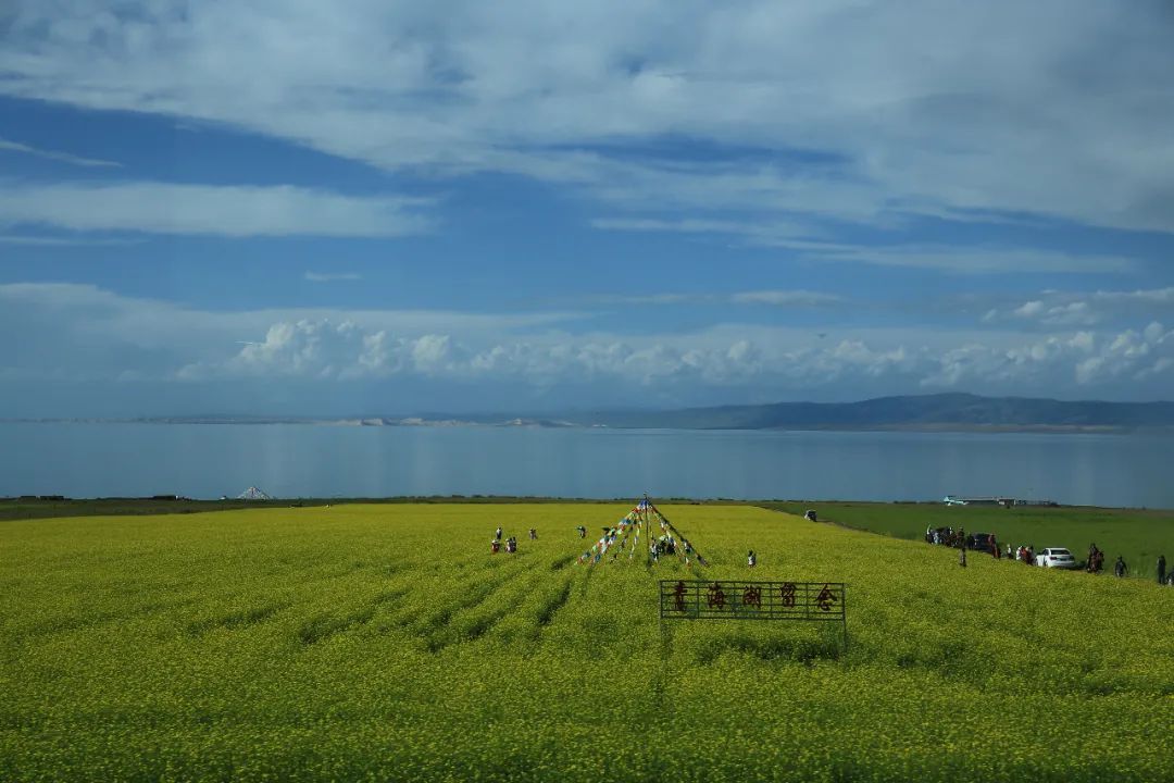 Gansu-Qingdao Ring Road (1) Qinghai Lake