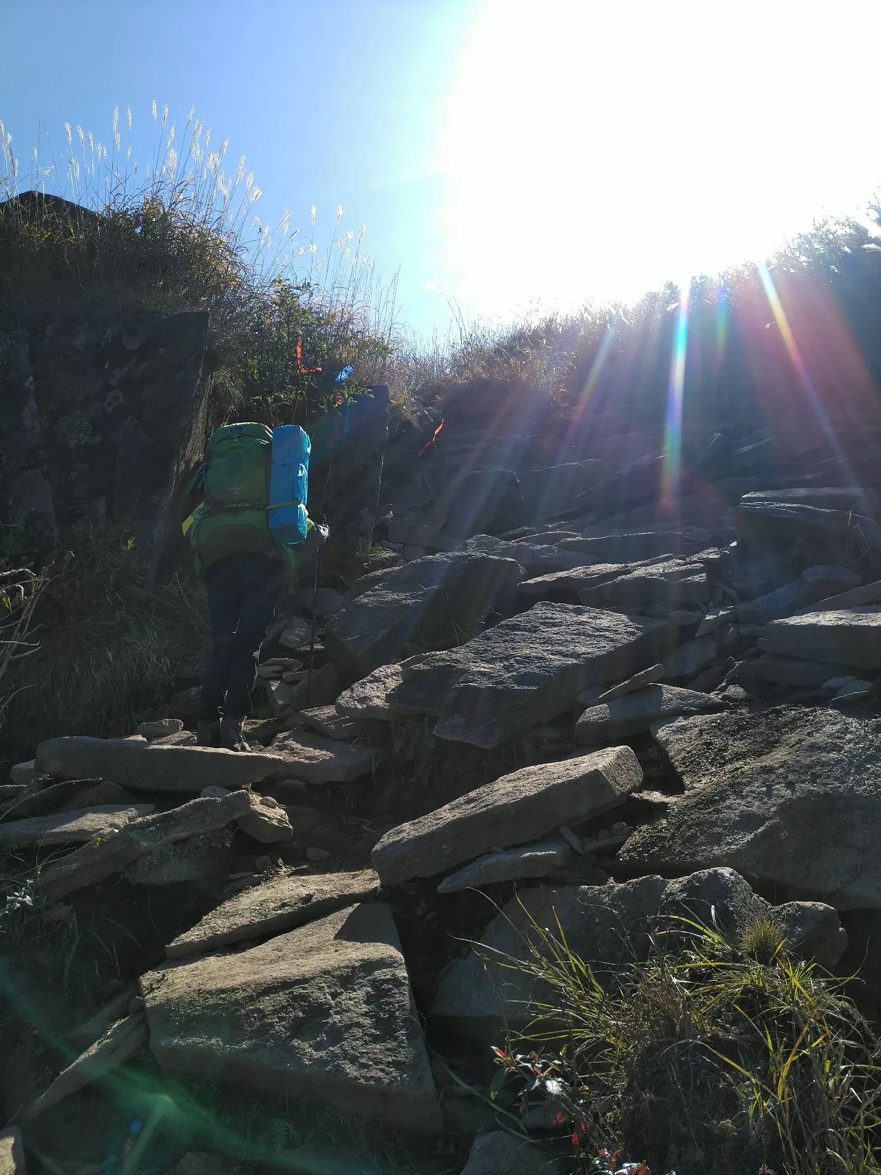 Favorite that yellow, late autumn hiking trip to Wugong Mountain