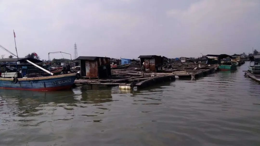 El viento de coco y la rima marina de los campesinos pobres y de clase media-baja---D9: pueblo de Boao, ciudad de Qionghai - pueblo de Houcheng, pueblo de Liji, ciudad de Wanning