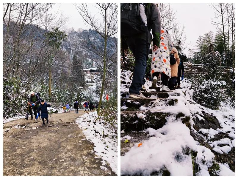 Living in a secret place that no one knows about, hiking in the snow and ice in the foggy mountains