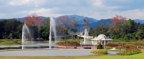 Lijiang es gentil y romántica, Xishuangbanna es una vista que dura para siempre