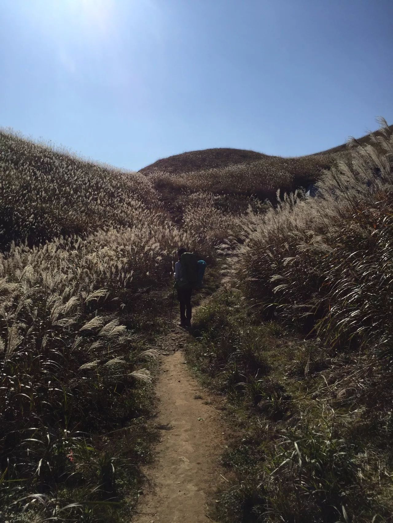 最爱那抹黄，深秋的武功山徒步之旅