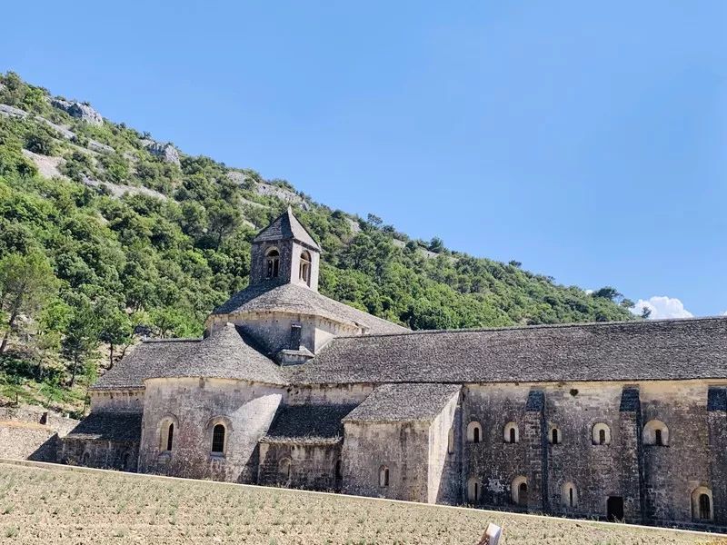 Paisaje del sur de Francia ~ Aviñón