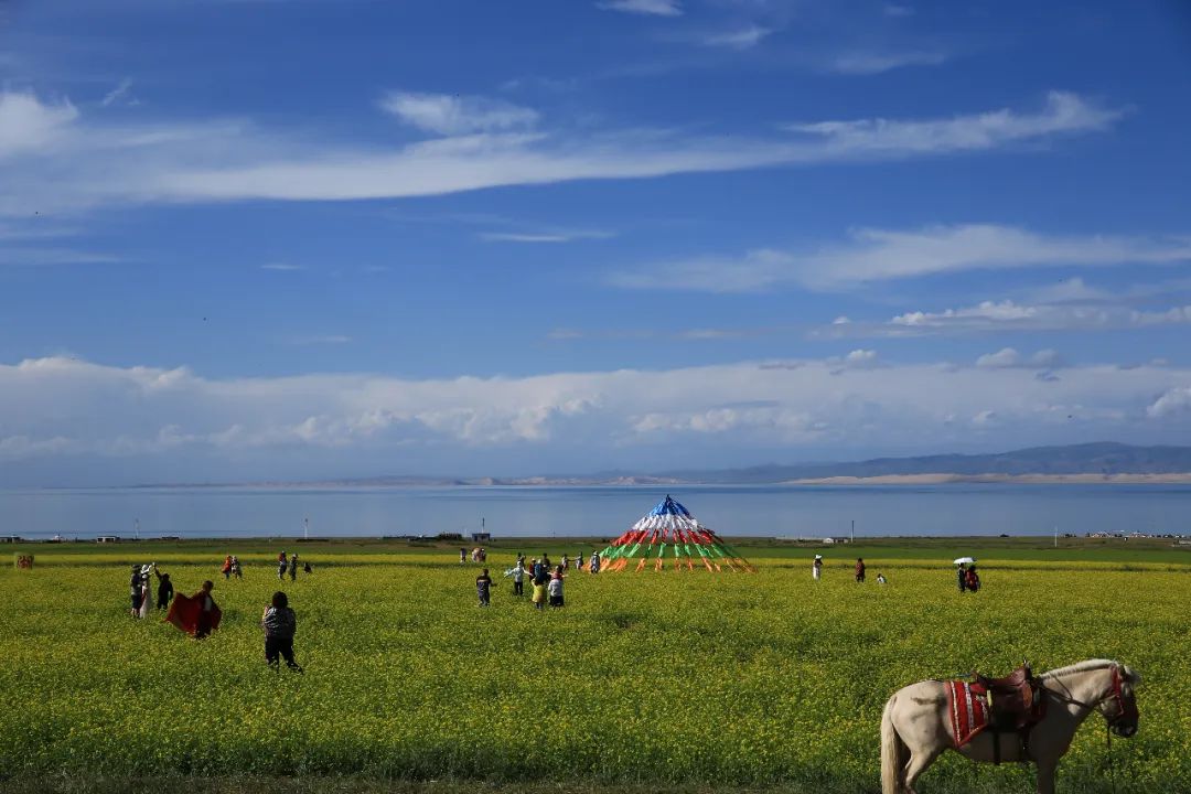 Carretera de circunvalación Gansu-Qingdao (1) Lago Qinghai