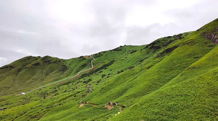 Notas de viaje He Jiajin: viaje a la montaña East Lion en Yuanyang Grassland