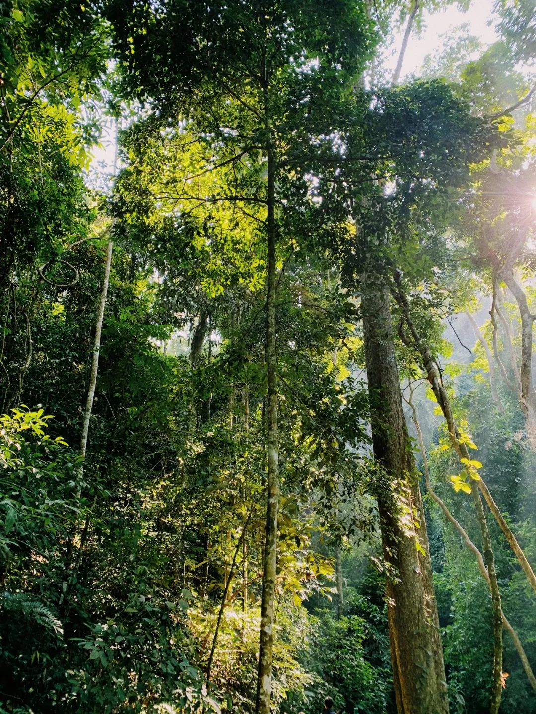 Notas de viaje | Pasemos el invierno en un pueblo tropical