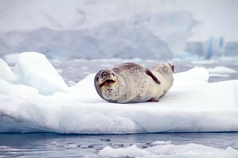 Flying Over Drake ~ Antarctic Adventure Day 2