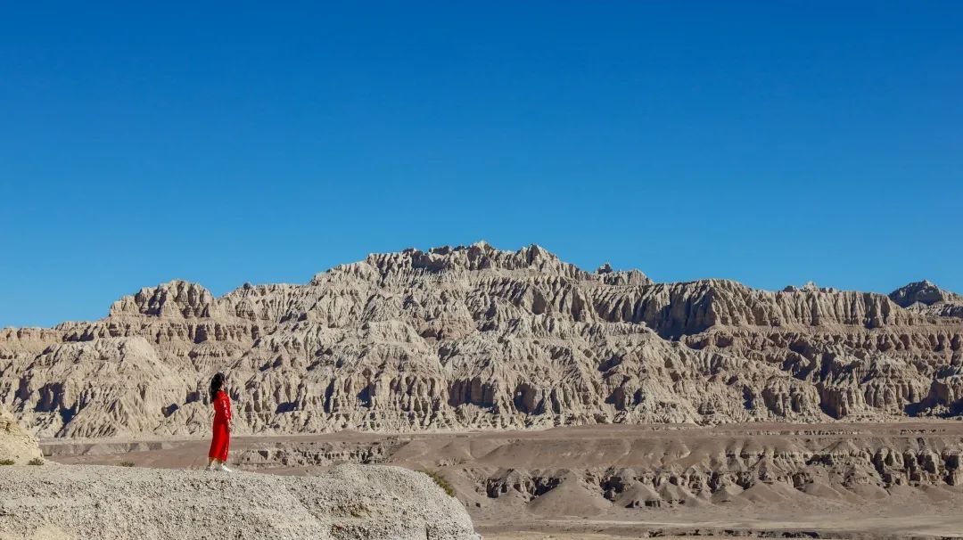 La fuga de Ali (4) | Los grupos de burros salvajes tibetanos no son suficiente sorpresa, las aguas termales salvajes son donde comienza la historia