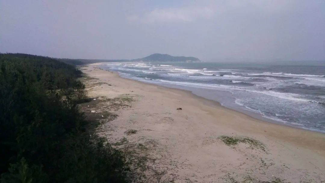 El viento de coco y la rima marina de los campesinos pobres y de clase media-baja---D9: pueblo de Boao, ciudad de Qionghai - pueblo de Houcheng, pueblo de Liji, ciudad de Wanning