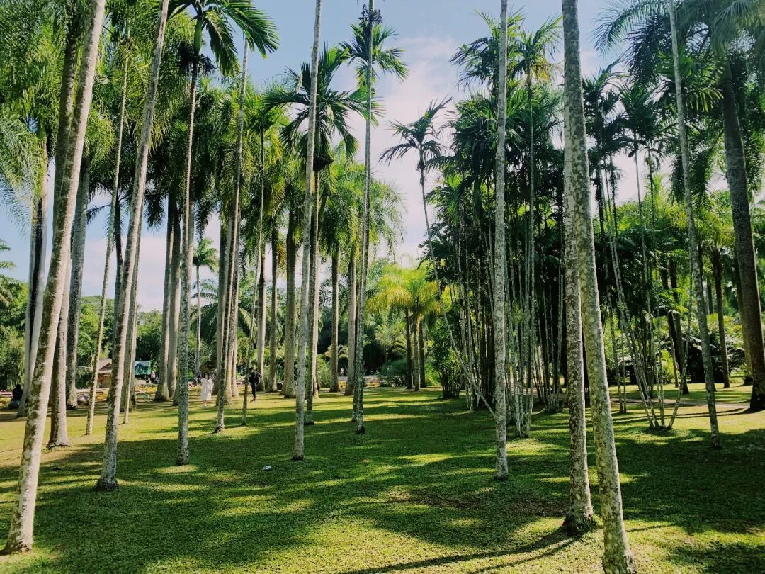 Notas de viaje | Pasemos el invierno en un pueblo tropical