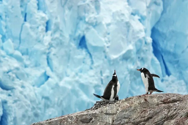 Flying Over Drake ~ Antarctic Adventure Day 3