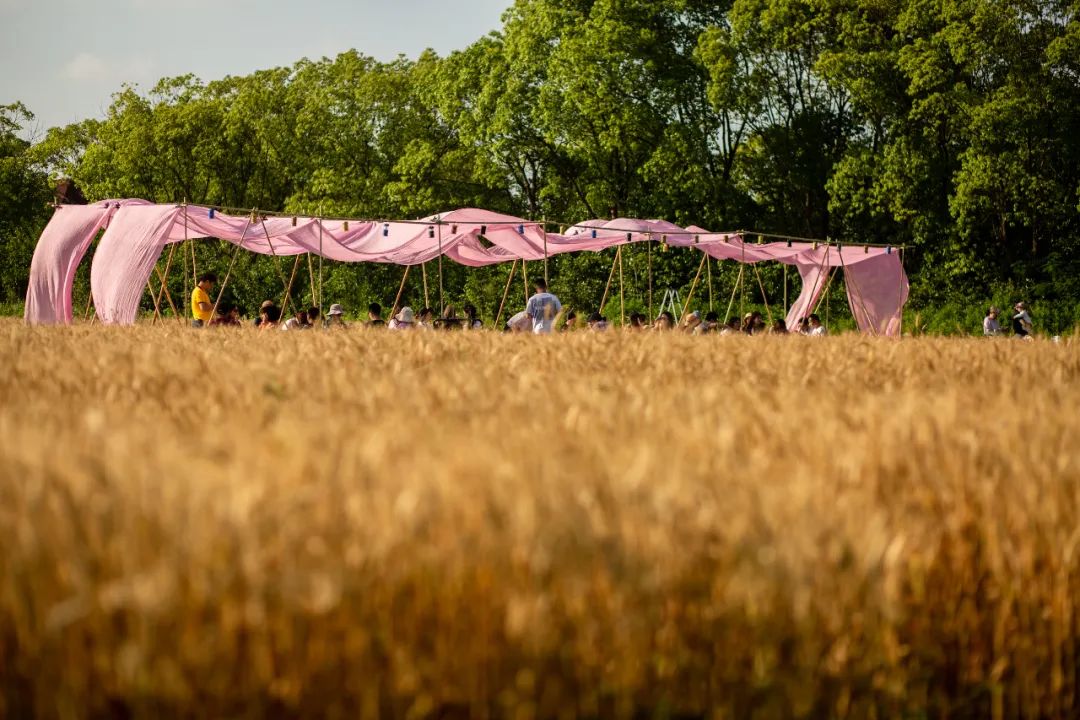 Wheat Field Dining Table, a feast of wheat from vision to food