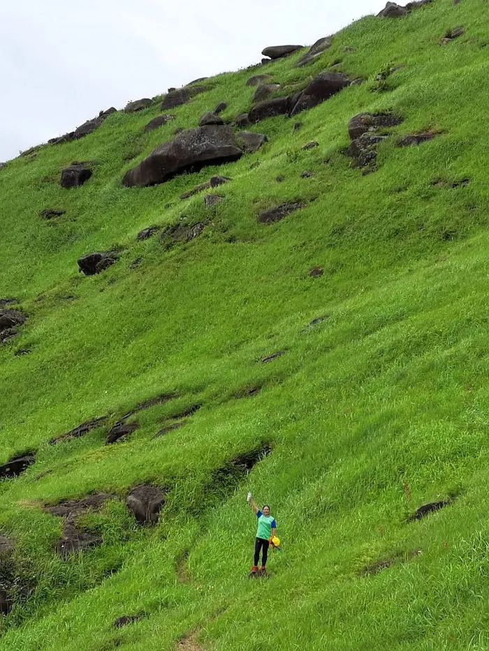 Notas de viaje He Jiajin: viaje a la montaña East Lion en Yuanyang Grassland