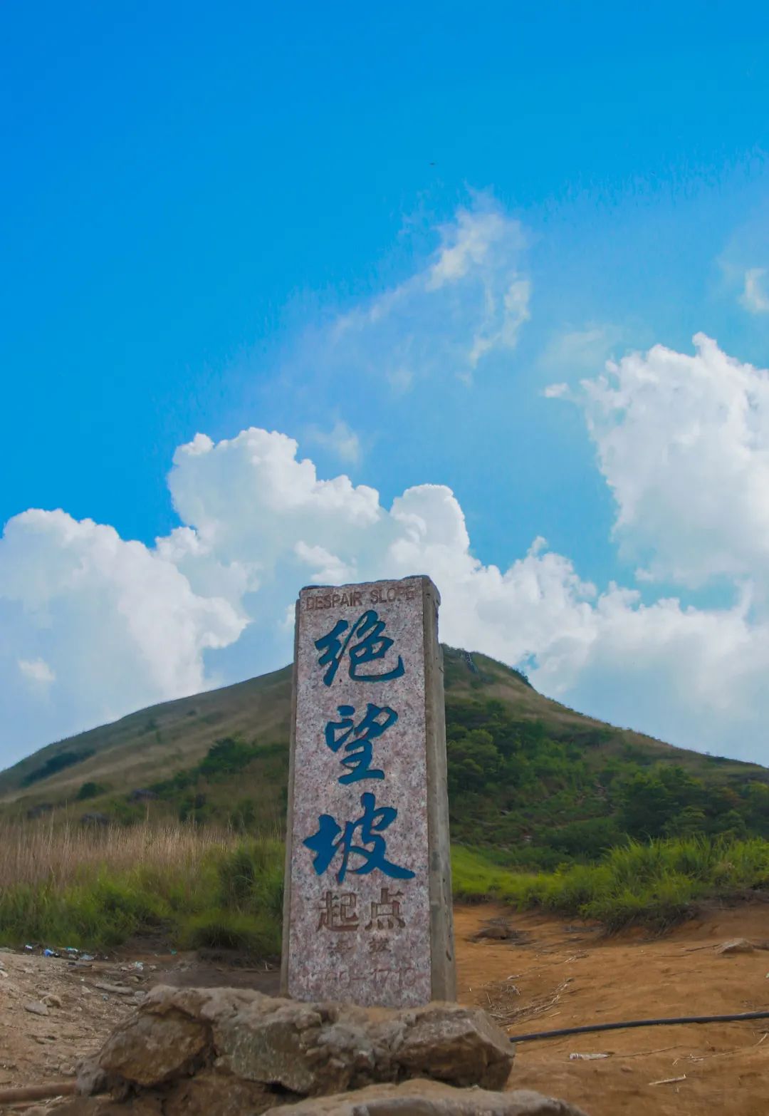 Photography | The grass in Wugong Mountain has turned green, come and climb the mountain.