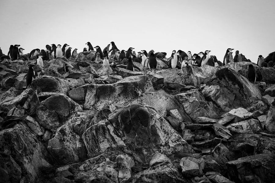 Flying Over Drake ~ Antarctic Adventure Day 3