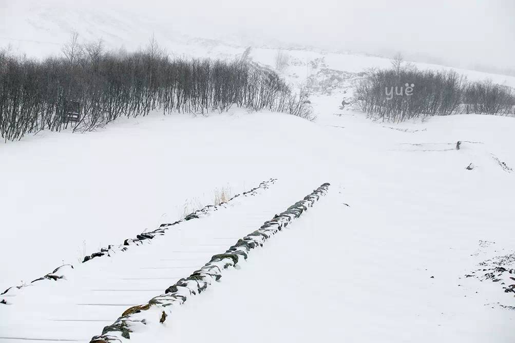 [Notas de viaje de Yue] El mundo de hielo y nieve entre -1 y 40 grados Celsius