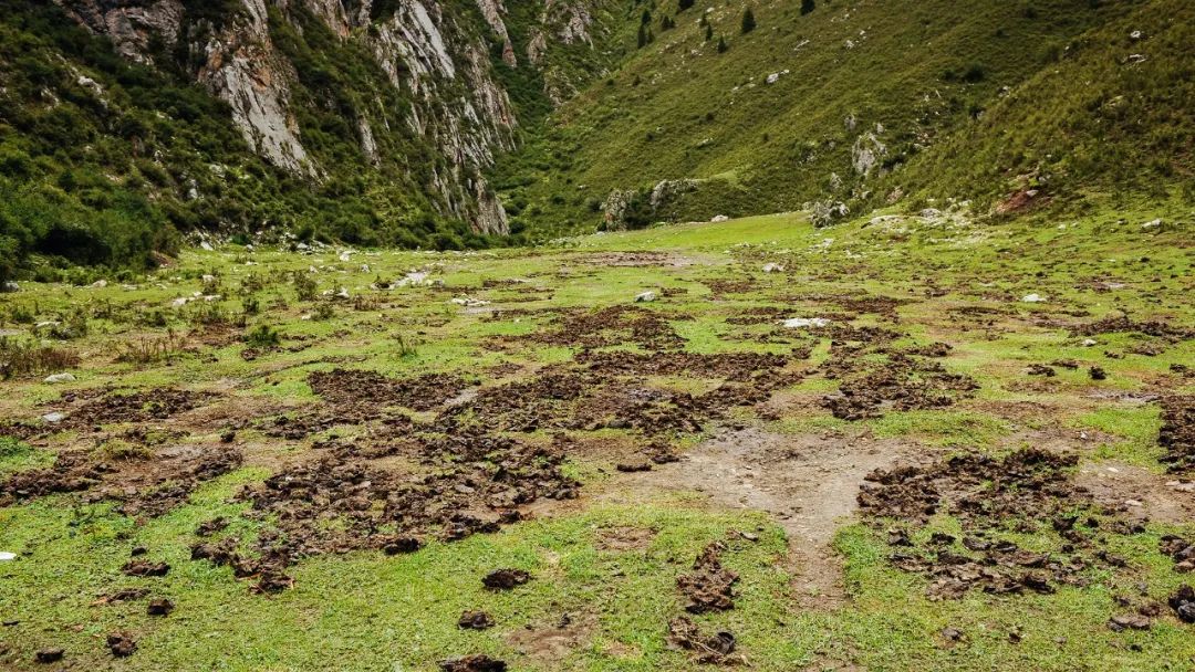 A record of picking up garbage in Langmusi Canyon