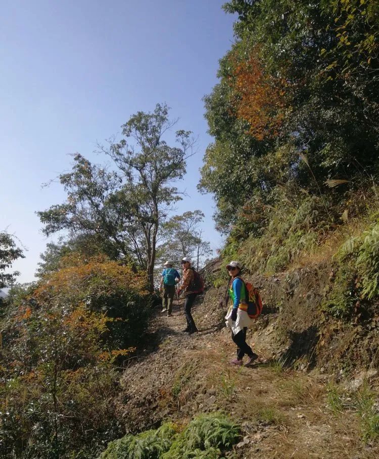 雁荡山仙人桥穿越