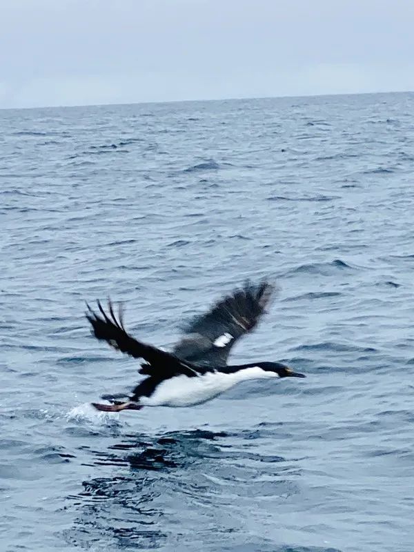 Flying Over Drake ~ Antarctic Adventure Day 2