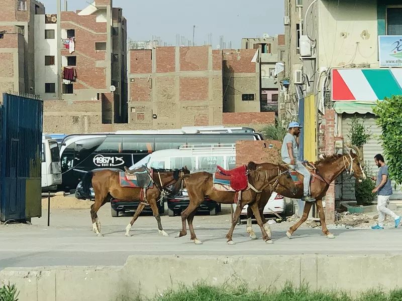 Viaje a Egipto ~ El Cairo que es difícil de describir en una palabra