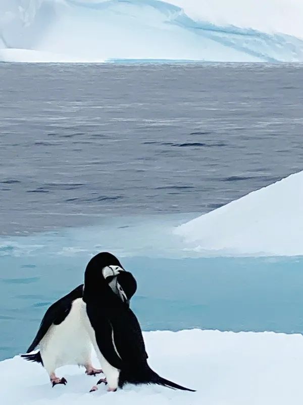 Flying Over Drake ~ Antarctic Adventure Day 3