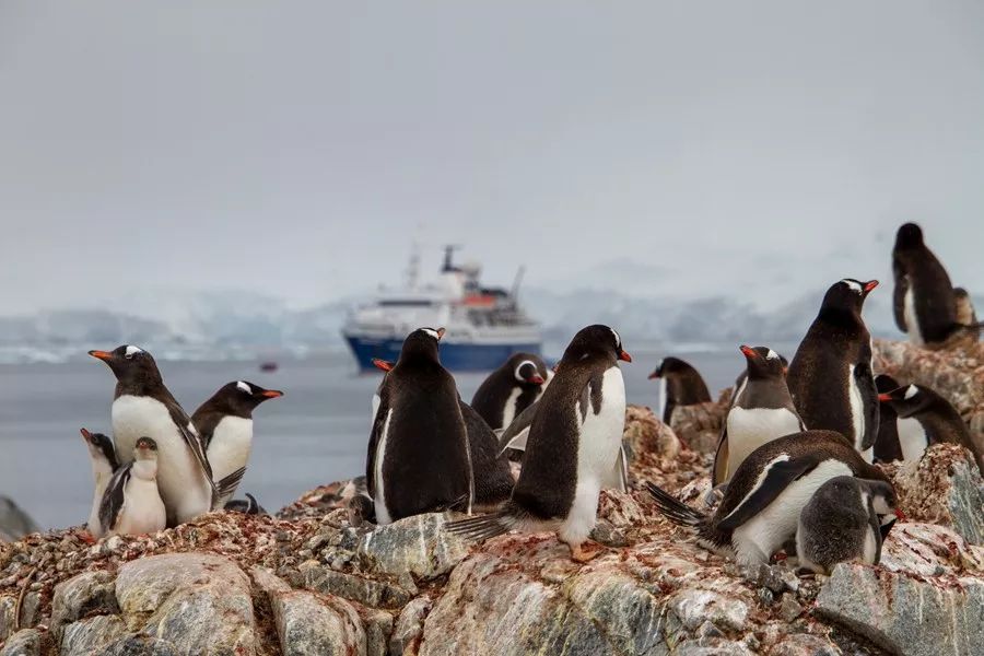 Flying Over Drake ~ Antarctic Adventure Day 2