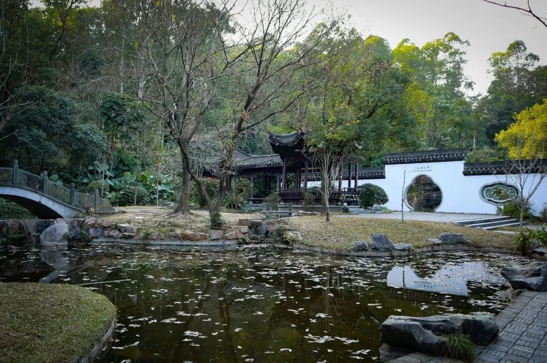 Notas de viaje: Jardín Internacional de Shenzhen y Parque de Exposiciones de Flores