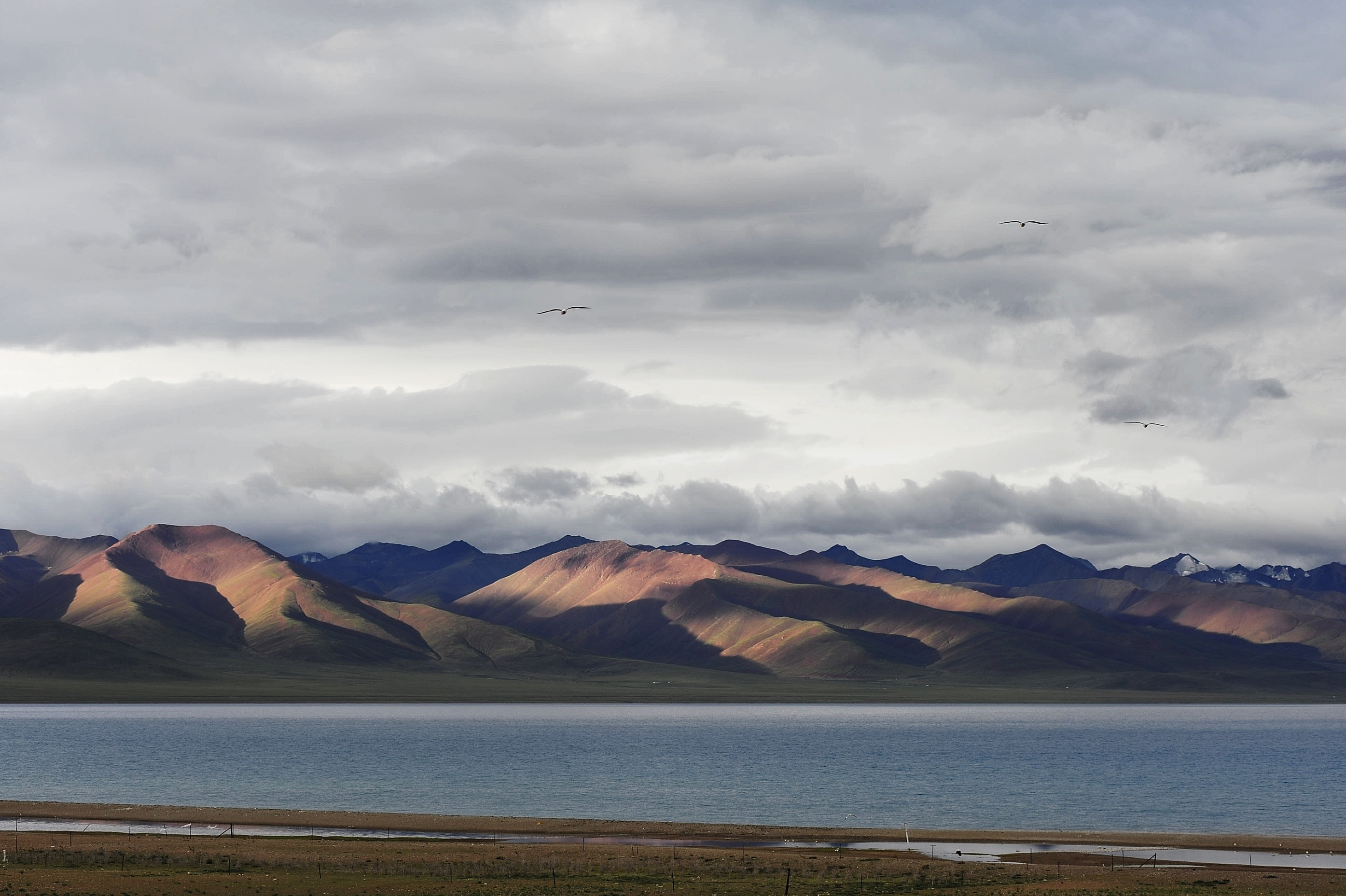 "티베트 향, 기, 라마승"의 마지막 장 티베트 북부 바다