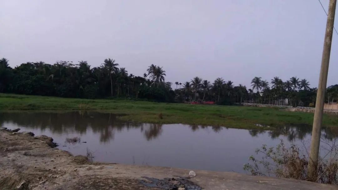 El viento de coco y la rima marina de los campesinos pobres y de clase media-baja---D9: pueblo de Boao, ciudad de Qionghai - pueblo de Houcheng, pueblo de Liji, ciudad de Wanning