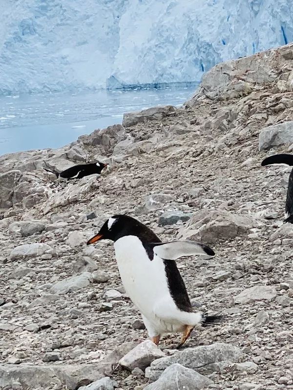 Flying Over Drake ~ Antarctic Adventure Day 1