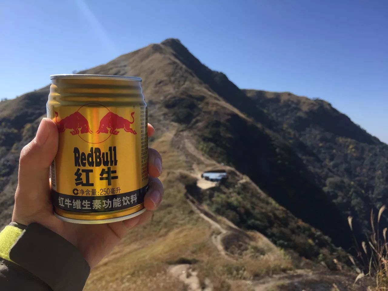 Favorito ese viaje de senderismo amarillo de finales de otoño a la montaña Wugong